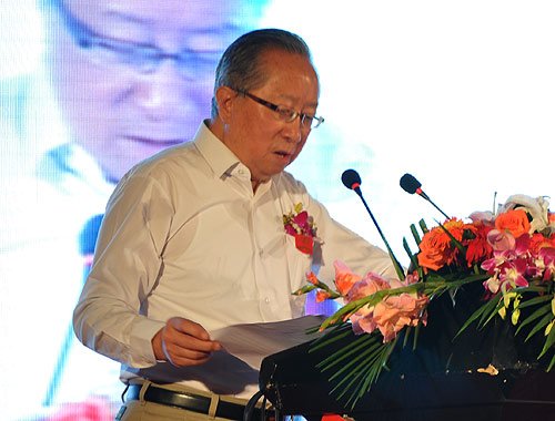 高新民：2015年中國網(wǎng)民能夠達到7到8個億