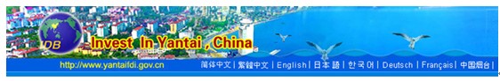 [第五屆國際化會議]上海市靜安區(qū)政府門戶網站點評