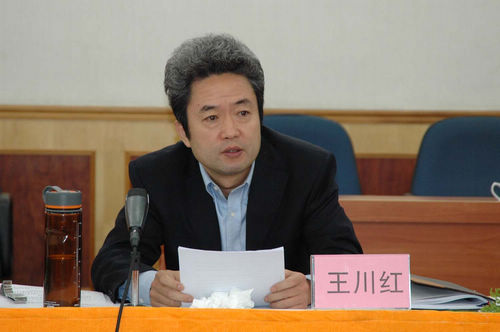 市信息化工作領導小組第二次工作會議召開