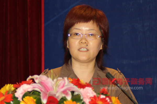 省級(jí)政府網(wǎng)站外文版建設(shè)總體情況排名表