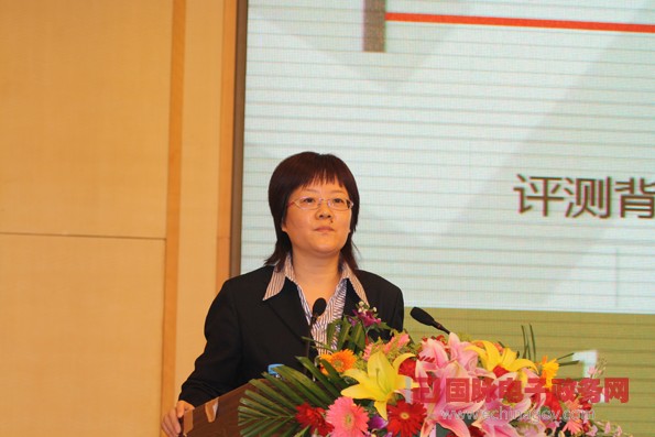 2011年中國政府網(wǎng)站績效評估結果發(fā)布