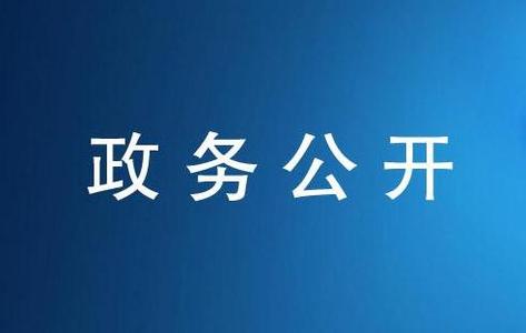 國務(wù)院辦公廳關(guān)于印發(fā)2016年政務(wù)公開工作要點的通知