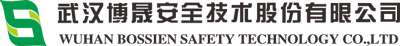 武漢博晟安全技術股份有限公司