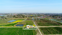 賦能產(chǎn)業(yè)振興，東方田園農(nóng)業(yè)發(fā)展有限公司全面推進(jìn)運(yùn)營業(yè)務(wù)
