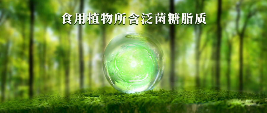 植物中的泛菌糖脂質(zhì) 