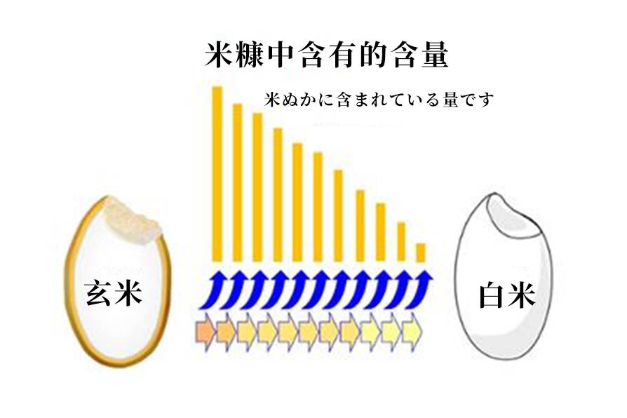 植物中的泛菌糖脂質(zhì) 