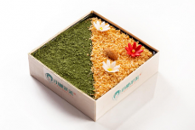 “厚切優(yōu)格提拉米蘇”，盤一盤小糖茉茉家的招牌甜品