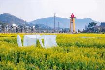 吸引超數(shù)萬(wàn)次游客打卡！稅務(wù)場(chǎng)村網(wǎng)紅七彩油菜花文化節(jié)“火”出圈