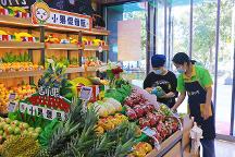 金三銀四開水果店正當(dāng)時，吉小果期待合作共贏