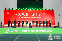 “和美魏縣，梨享天下”魏縣鴨梨產(chǎn)業(yè)發(fā)展研討會圓滿落幕！