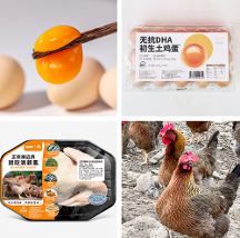 好雞好蛋齊相伴！錢大媽上市清遠雞，無抗蛋，你愛了嗎？