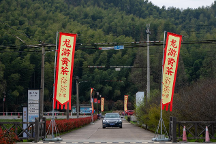 茶報(bào)|2023中國(guó)?龍游黃茶首屆開采節(jié)暨虔龍黃茶新品發(fā)布會(huì)