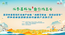 濃香菜籽油，邀您游高安，4月26-29日,不見不散！