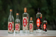 春糖頂流 高燃收官 | 能賦·米燒征程不止，勇毅前行耀未來！