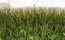 厚德珍硒: 聚焦生物科學(xué)領(lǐng)域，深究富硒研發(fā)技術(shù)