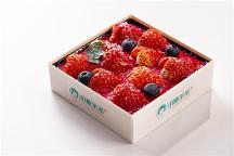 小糖茉茉厚切優(yōu)格提拉米蘇，一款讓你驚艷的美味甜品