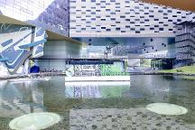 王石創(chuàng)立“生物圈三號”發(fā)起“雙碳同行者大會”，綠色家居企業(yè)參與其中