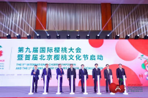 北京、澄城兩地同時點亮櫻桃行業(yè)的“奧運會”！