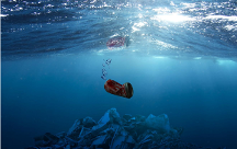 精靈夢葉羅麗 聚焦海洋保護，寓教于樂探索藍色未知世界！