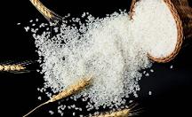 禾之善：堅(jiān)定使命，只為大家吃上一碗健康的好米飯