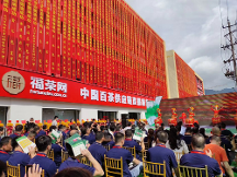 2023年安溪茶包裝————新品訂貨會開幕