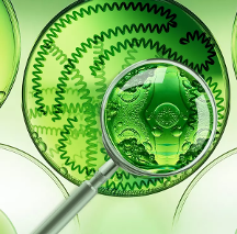 丹姿集團(tuán)“太空育種”技術(shù)取得突破，“H11太空藻”專(zhuān)注干皮修護(hù)