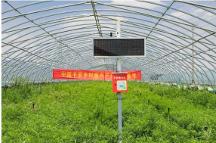 馬明哲：深化戰(zhàn)略，修煉內(nèi)功，收獲新時(shí)期的高質(zhì)量發(fā)展