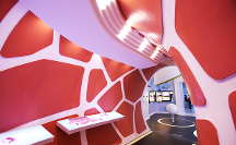 探究免疫細胞的巨大作用 中源協(xié)和免疫細胞有什么好？