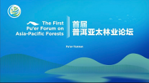 中林國控應(yīng)邀首屆普洱亞太林業(yè)論壇，推動“大森林 + 大醫(yī)藥”助力綠色經(jīng)濟(jì)崛起