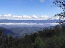 普洱-景東晚芒香飄萬里