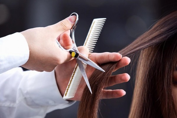 1703140144661272.jpg 53ca7cf37d4de10c7893bba7e152acc5e883a787a7149b-TP3pi8_fw658webp.jpg