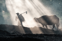 上海三思立體育苗系統(tǒng)Vertical X打造“不見(jiàn)光”人工農(nóng)場(chǎng) 