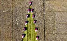 濰柴雷沃：用實(shí)際行動(dòng)讓“中國飯碗”的底氣更足