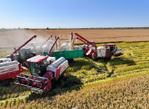 告別2023|與濰柴雷沃一起致敬那些“追豐的人”