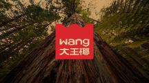 大王椰LOGO煥新背后，如何打造年輕人的品牌！